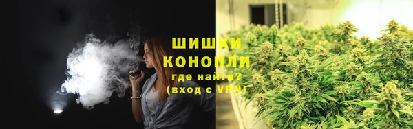 ПСИЛОЦИБИНОВЫЕ ГРИБЫ Богородицк