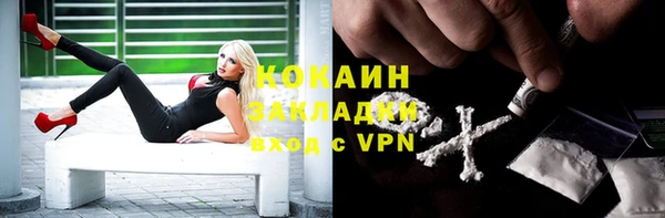 ПСИЛОЦИБИНОВЫЕ ГРИБЫ Богородицк