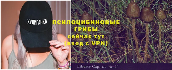 соль курить ск Богданович